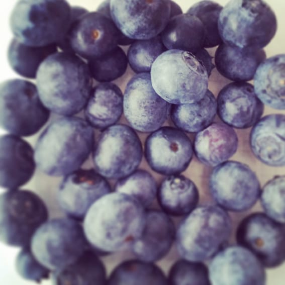 06_Blueberries